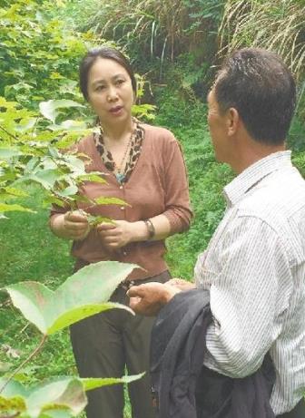 华科美女教授承包万亩荒山植树 欲带领乡亲致富