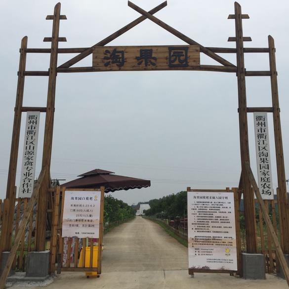 海归硕士回乡养鸭，衢江农场主火了