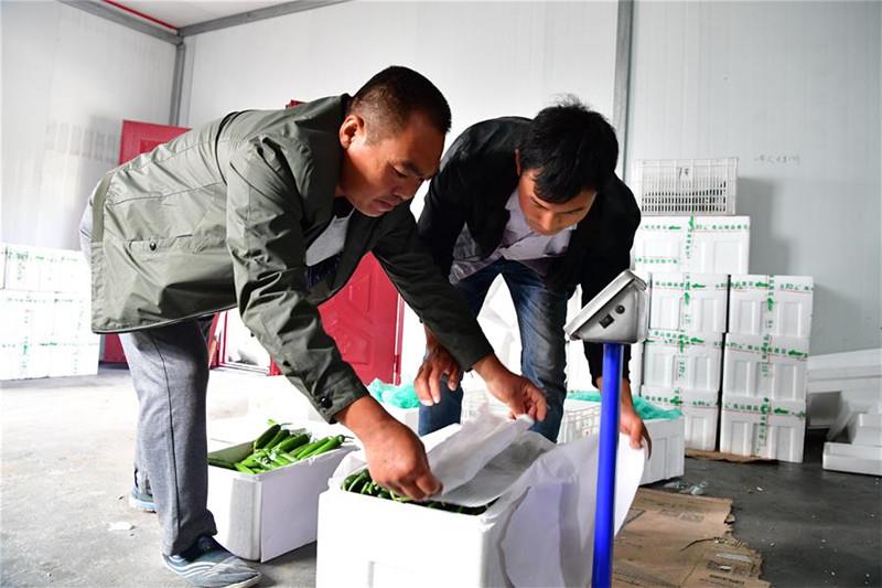 河南：农民搭上脱贫快车