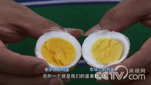 致富经：卖鸡蛋有高招 让老婆住进大别墅