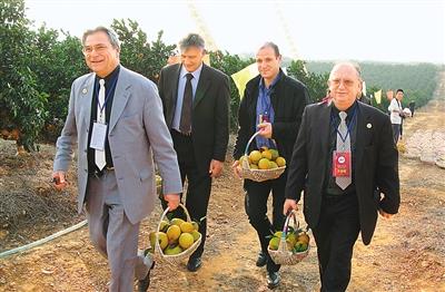 江西赣南：“黄金树”长出更多“致富果”