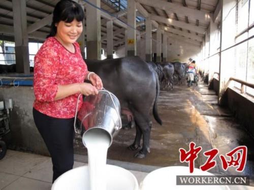 王秀甜:农村致富的女能手