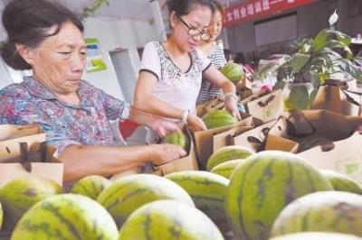 福建福安市:“85后”女大学生创业建农业园
