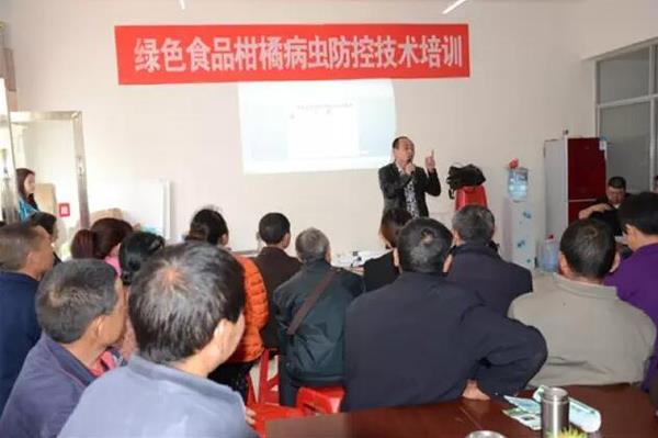 东北汉子要当湖北秭归“脐橙大王”《致富经》