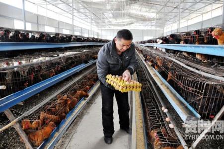 四川资阳市：农场主带致富经回乡