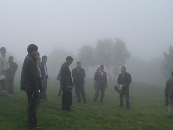 放养绵羊改圈养 救活千亩牧草场