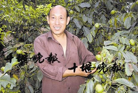 李兴胜:带领乡亲致富的“核桃王”
