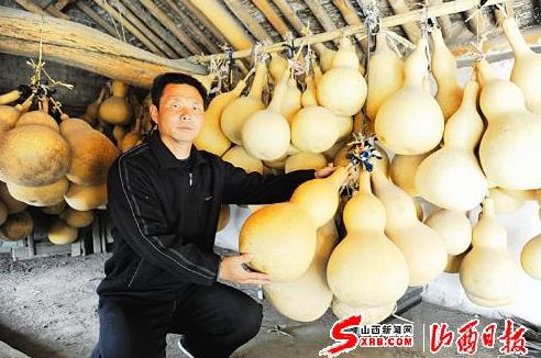 山西夏县东浒村:葫芦王郑富中的葫芦梦