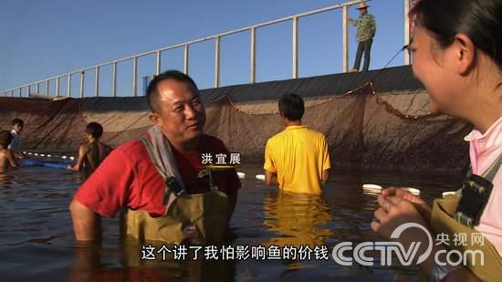 一个台湾商人的千万资产保卫战《致富经》