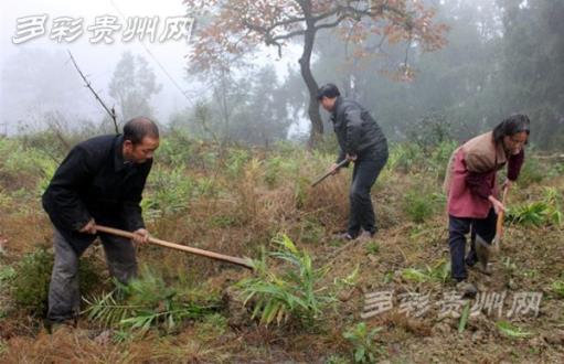 李东：双手托起创业致富梦