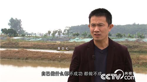 萧劲松:水下黄金 5万如何变千万《致富经》