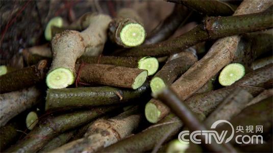 江西德兴市:“葛疯子”刨根刨出亿万财