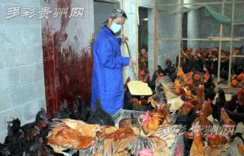 李东：双手托起创业致富梦