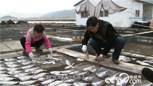 陈优存：西北风吹来的财富《致富经》