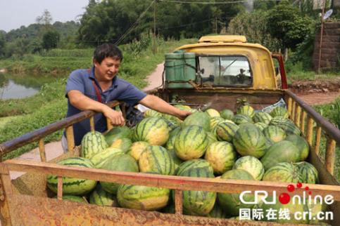 四川江安县：残疾人程世忠闯出致富新天地