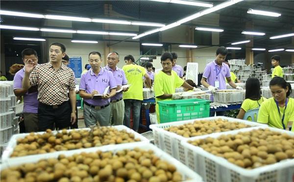 邓洪九:亿万财富从一根扁担起步《致富经》