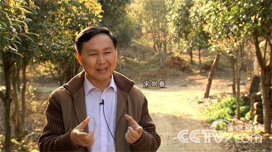 江西德兴市:“葛疯子”刨根刨出亿万财