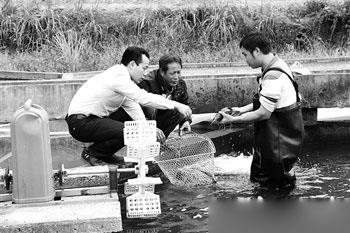 回乡创业养鲟龙鱼 一年净收30万元