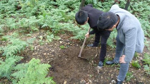 贵州黔西：“小天麻”引领群众致富