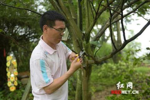 踏平坎坷“橙”大道 斗罢艰难“柚”出发