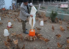 湖南隆回县秋冬“闲置田”变“增收田”