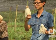 江西会昌县（盯上穿裙子的竹姑娘好赚钱《致富经》）