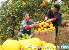 “致富老哥”徐学成(掘金荒山十五载) “致富老哥”徐学成(掘金荒山十五载)