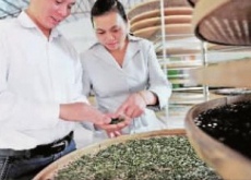 福建尤溪君良山（好茶青制出多样茶）