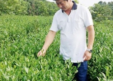 赵建平(打造茶叶品牌传播茶文化) 赵建平(打造茶叶品牌传播茶文化)