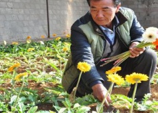 花农李建军乐话勤劳致富经