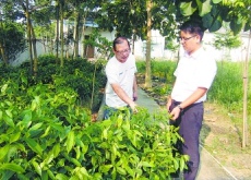 黄鉴雄（捕捉“飘香”商机创新模式带动万人致富）