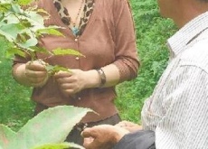 华科美女教授承包万亩荒山植树(欲带领乡亲致富) 华科美女教授承包万亩荒山植树(欲带领乡亲致富)