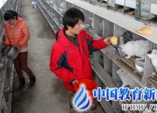 湖北灵乡镇（80后村干“画”出花菇致富图）