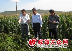 连建祝回乡创业成立合作社（带领村民走上致富路）