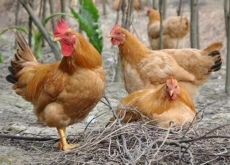 江苏如东（“跑偏”的创业路多措并举念好致富经）