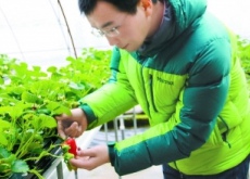 孔博（做农业得用心干对的事）