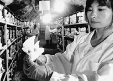 北京密云县(山洞种平菇反季财可出) 北京密云县(山洞种平菇反季财可出)