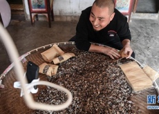 百万粉丝“农民主播”为村民致富开辟新途径