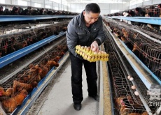 四川资阳市（农场主带致富经回乡）