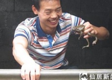 养蛙人（抗挫能力强不一定成功）