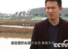 萧劲松（水下黄金5万如何变千万《致富经》）
