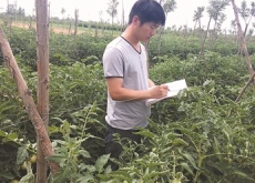 河北献县村官谭高雁（一只西红柿富了一个村）