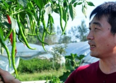 转业军人下乡做菜农（带领村民致富年入百万）