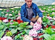 田凤江（扶着乡亲一起走现代农业之路）