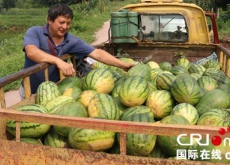 四川江安县（残疾人程世忠闯出致富新天地）