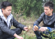 李东（双手托起创业致富梦）