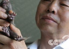 高学荣(豪猪从此不凶猛《致富经》) 高学荣(豪猪从此不凶猛《致富经》)