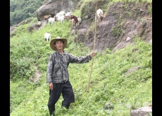外出打工疑无路（返乡养羊却暴富）