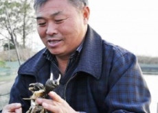 63岁老人带领养殖户致富（年收入增760万元）