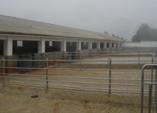 放养绵羊改圈养（救活千亩牧草场）